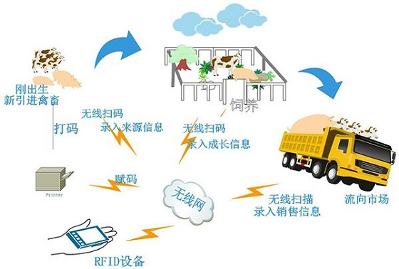 RFID設(shè)備以及技術(shù)在畜牧業(yè)的應(yīng)用場景